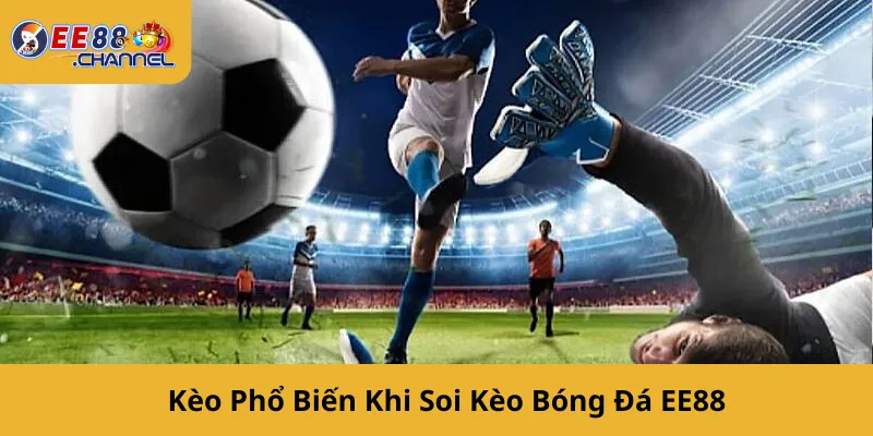 Kèo Phổ Biến Khi Soi Kèo Bóng Đá EE88