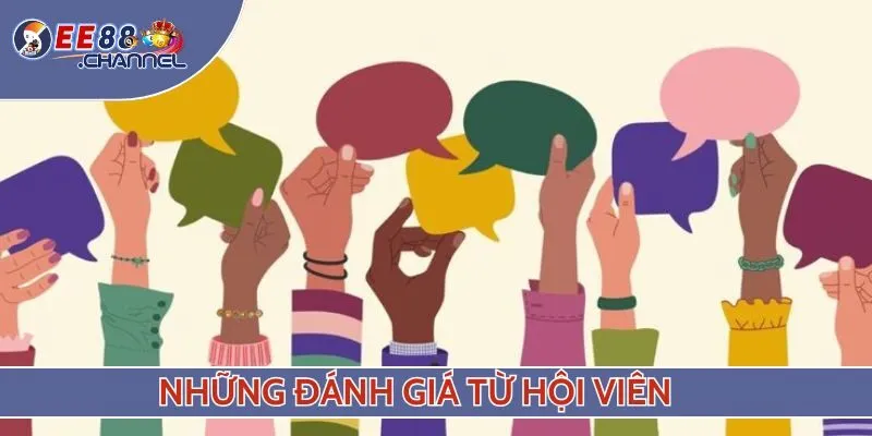 Những đánh giá từ hội viên